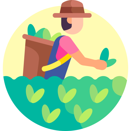 Expertise multisectorielle